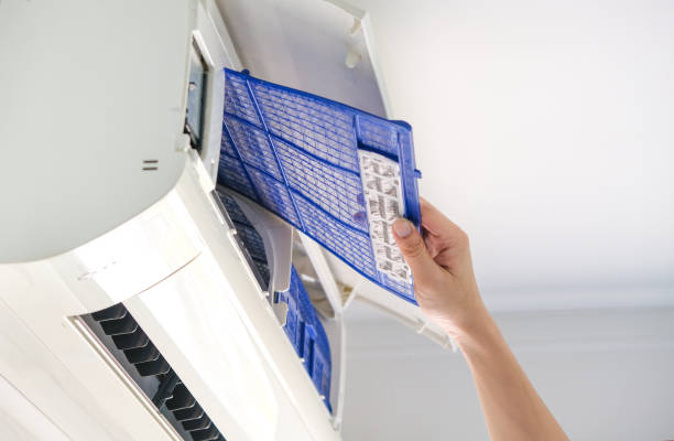 Best Affordable Duct Cleaning Services  in Rio Grande City, TX